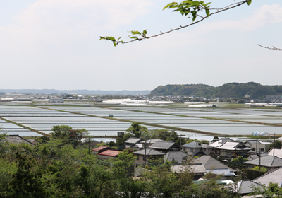 匝瑳市に隣接し椿海だった干潟100万石　