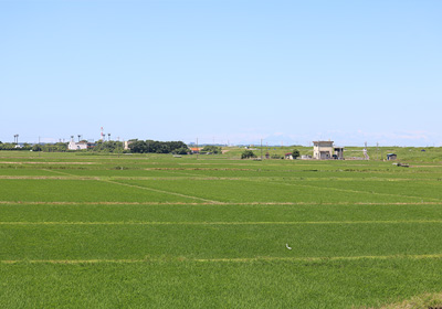 広がる田園