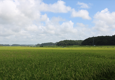 田園