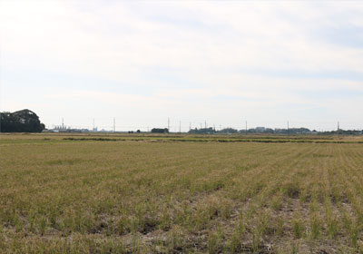 田園風景