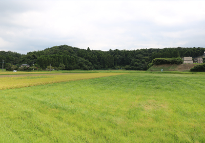 田円風景