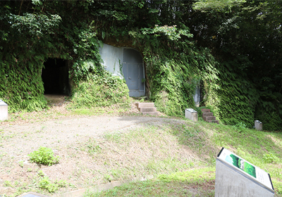 横穴の中を見られる