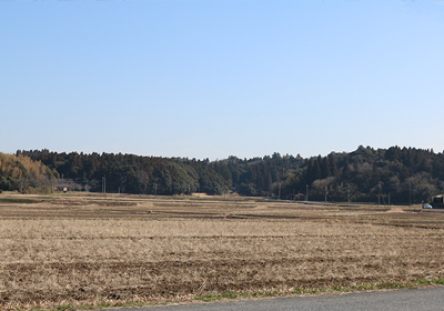 田園風景