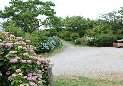 野見金公園