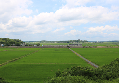 広大な田園風景