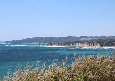 勝浦のリアス式海岸