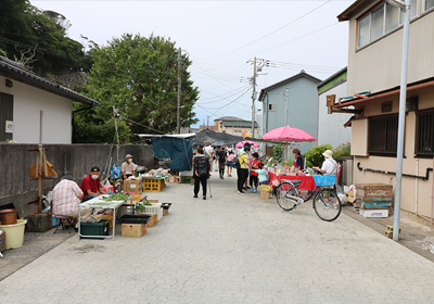 勝浦の朝市