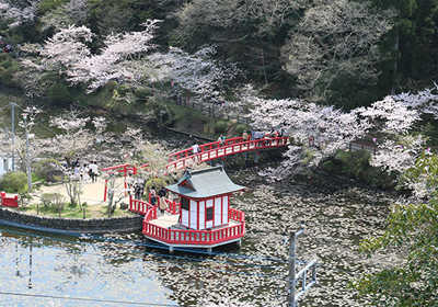 茂原公園