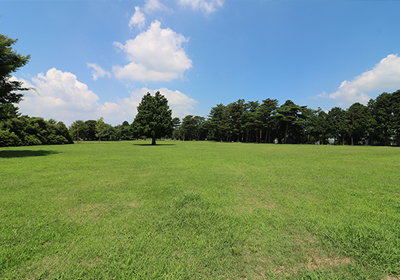 気象台記念公園