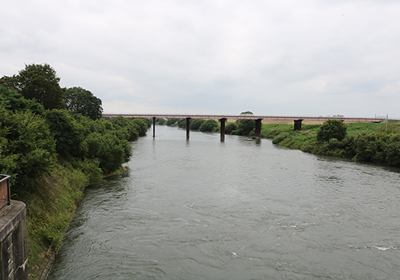 江戸川