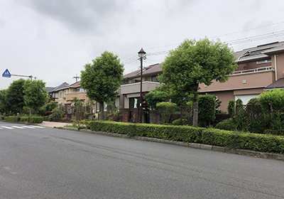 染井野地区の住宅街