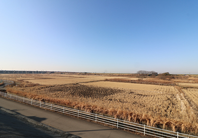 広大に広がる田園