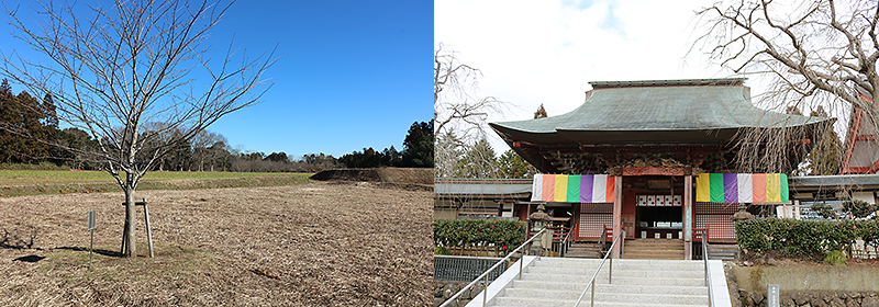 グリーンポートと芝山仁王尊