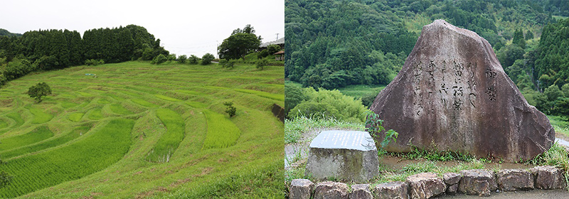 大山千枚田