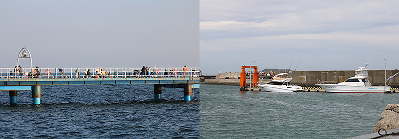 オリジナルメーカー海釣り公園