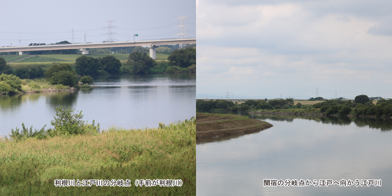 利根川と江戸川