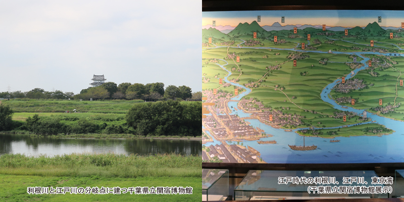関宿博物館と江戸時代の利根川、江戸川、東京湾