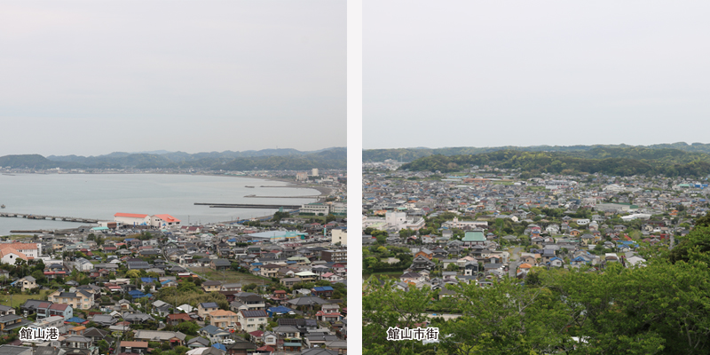 館山港と市街地