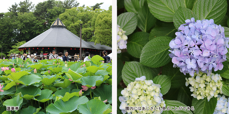 石堂寺